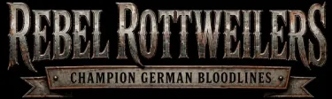About Rebel Rottweilers